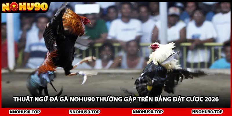 Thuật ngữ đá gà NOHU90 thường gặp trên bảng đặt cược 2026
